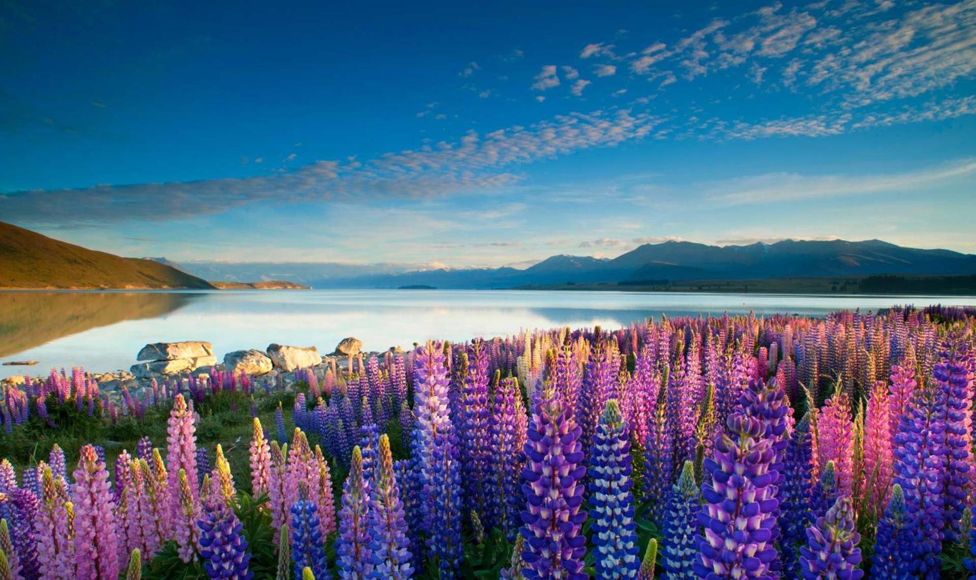 Tekapo1929 Lakefront Villa Lake Tekapo Eksteriør billede
