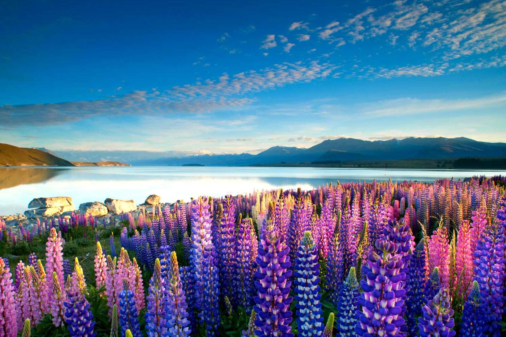 Tekapo1929 Lakefront Villa Lake Tekapo Eksteriør billede